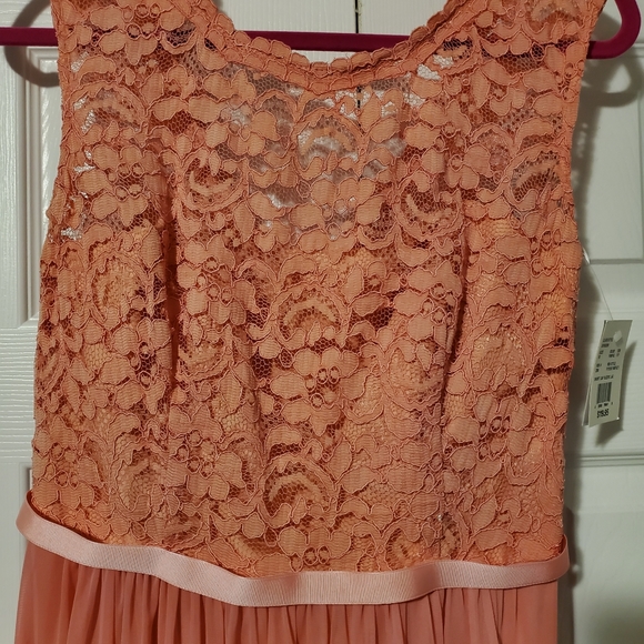 David's Bridal Lace Dress - Parfait, Size 10 - Picture 4 of 6